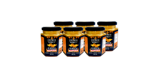 6 X Ginger Honey - (Immune-Bosting)